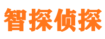 安塞外遇调查取证